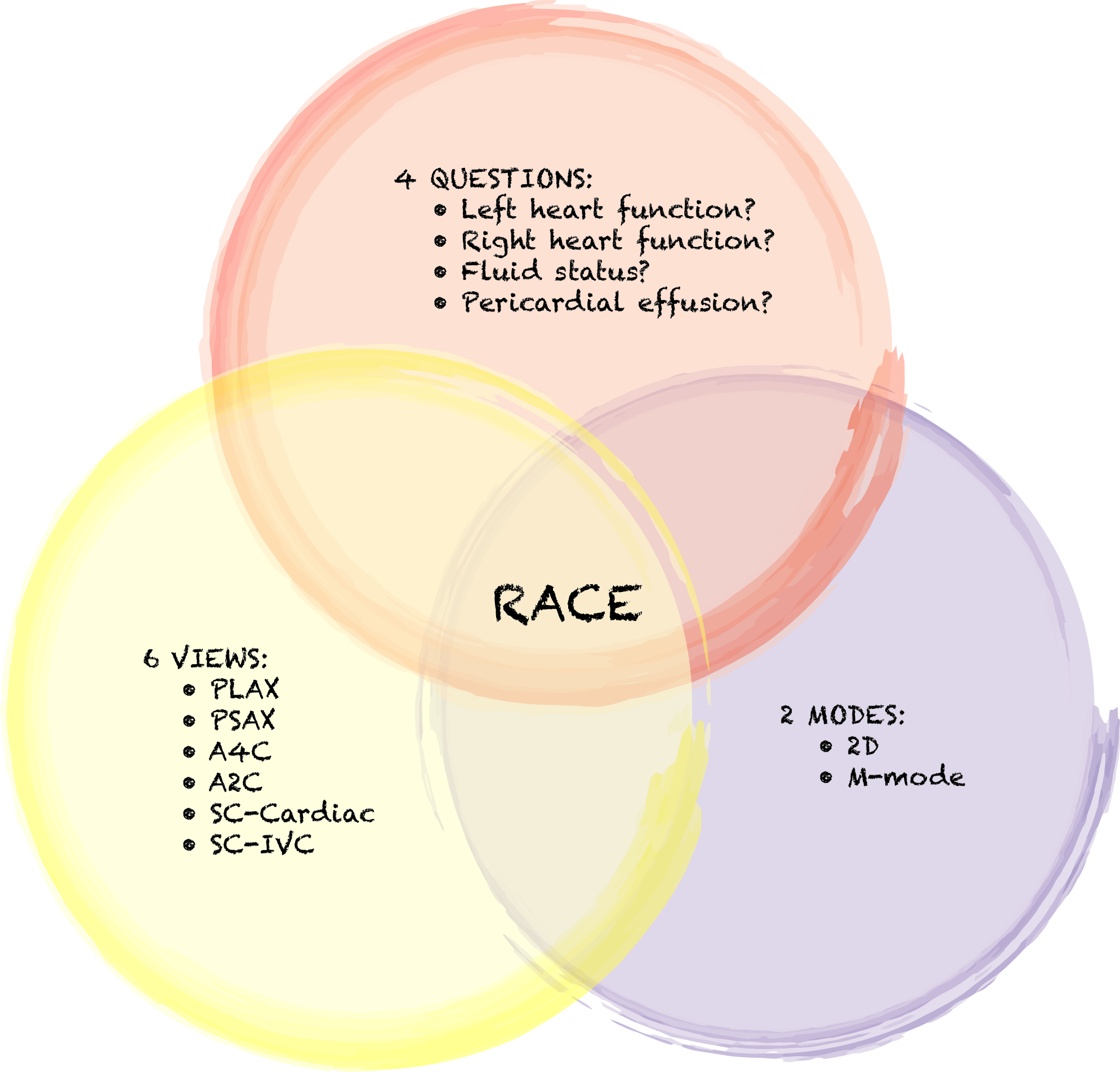 RACEplus ePre-course → Lesson 1: What is RACE? - Nepean Institute of ...